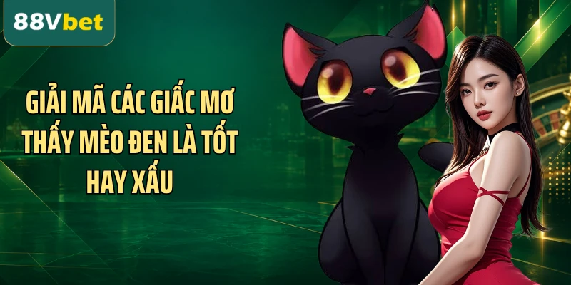 Giải mã các giấc mơ thấy mèo đen là tốt hay xấu